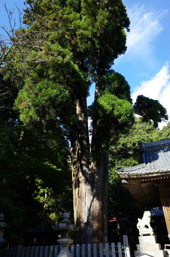 伊富岐神社