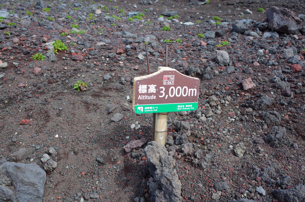 標高3,000m