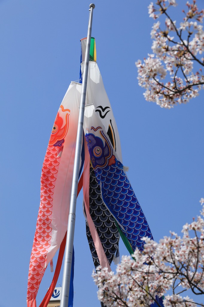 碧南市明石公園桜まつり