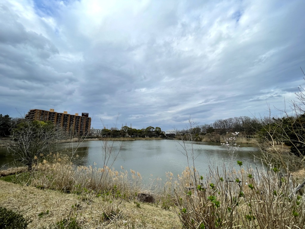 杁ヶ池公園