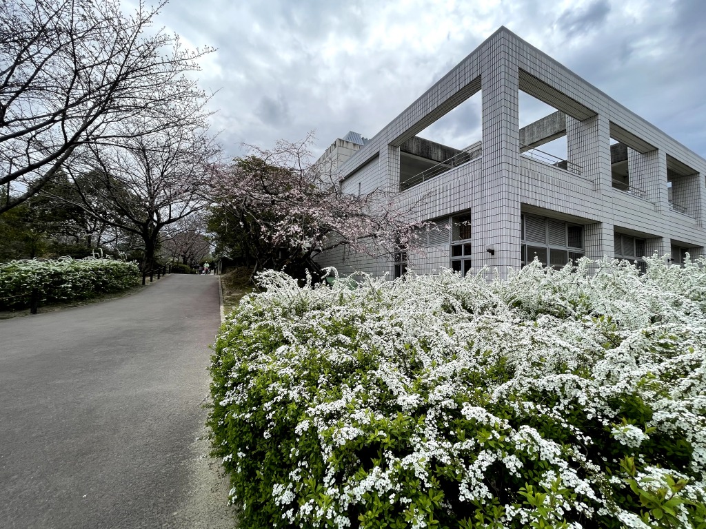 杁ヶ池公園