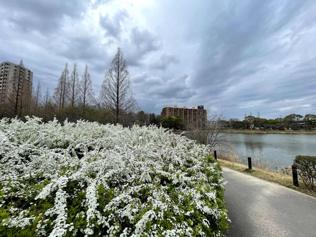 杁ヶ池公園