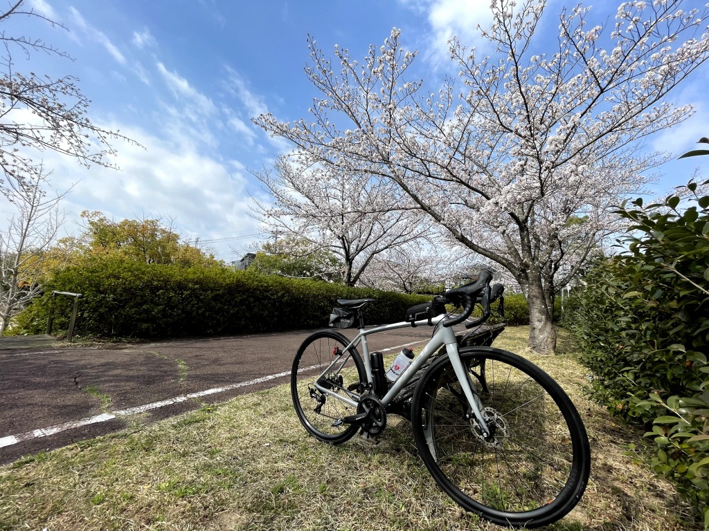 妙玄公園の桜とロードバイク