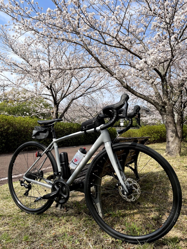 妙玄公園の桜とロードバイク