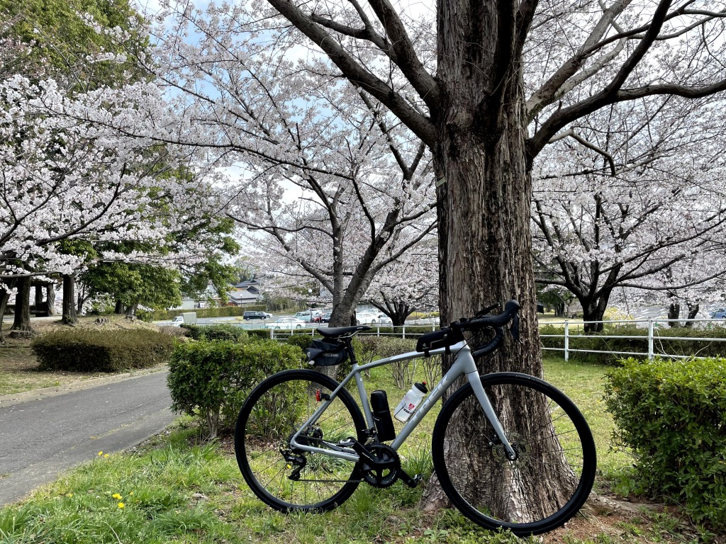 枝下緑道自転車道 ロードバイク