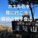 カエル石を見に行こう！ 猿投山で親子登山！